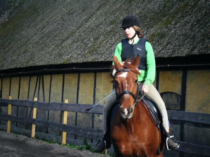 Frederiksborg Romeo bakkely (Thor) - på vej mod et spring (: billede 12