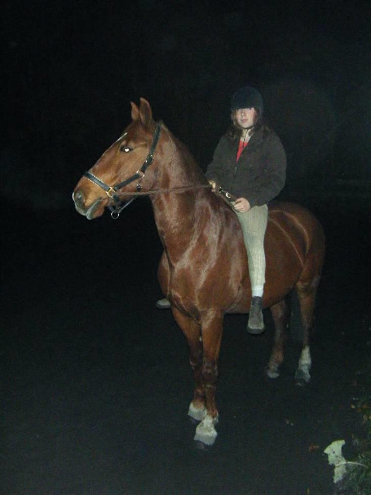 Frederiksborg Romeo bakkely (Thor) - en hygge aften (: billede 13