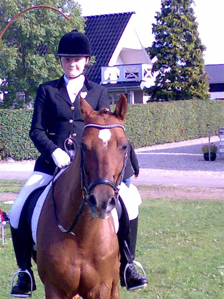 Tysk Sportspony Palermo - A-PONY - Landsstævne i Bogø 2009 :D billede 11