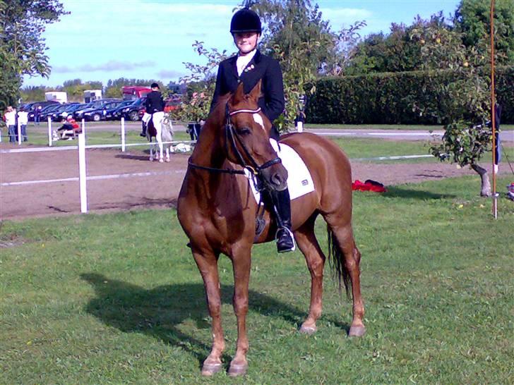 Tysk Sportspony Palermo - A-PONY - Landsstævne i Bogø 2009 :D billede 12