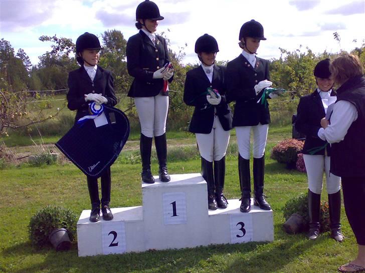 Tysk Sportspony Palermo - A-PONY - Vandt pri´en i Bogø 2009 :D billede 14