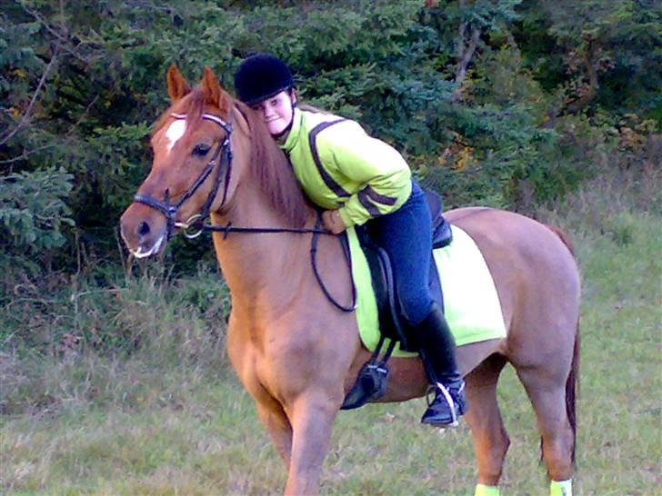 Tysk Sportspony Palermo - A-PONY - Vestbirk 2009 :D billede 17