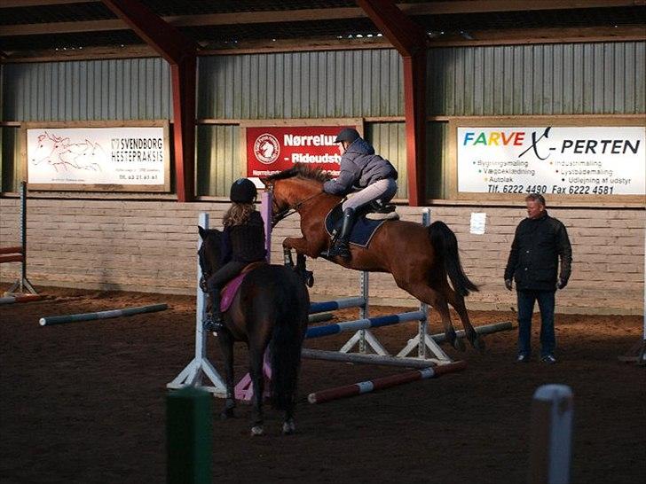 Anden særlig race Mr. Matrix billede 16