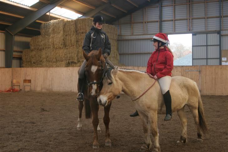 Dansk Varmblod C-Mol *R.I.P*  billede 9