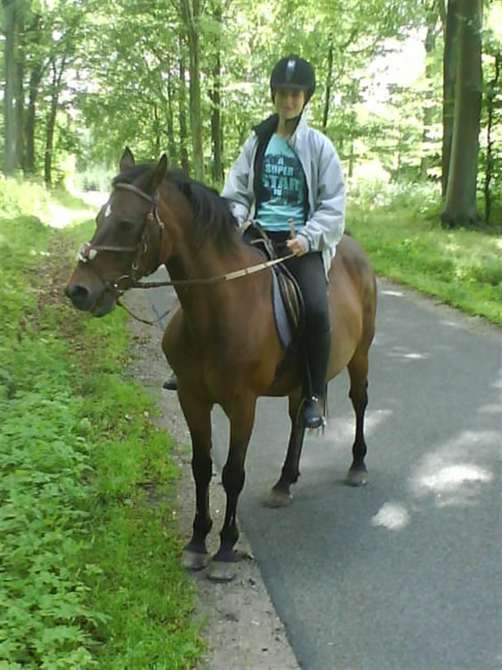 Connemara Chianti *Død* R.I.P - På tur i skoven.. billede 12