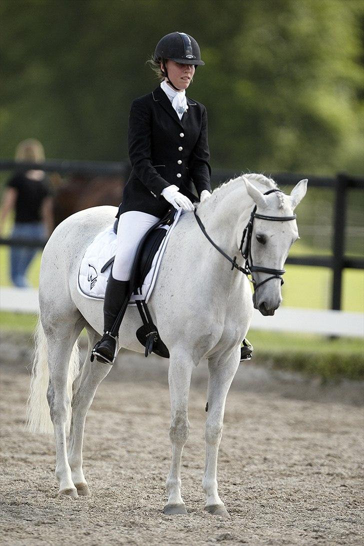 Belgisk Sportspony Decision (Solgt) - Til Distriktsmesterskaberne 2010.. Perfekt afslutning, hvis jeg selv skal sige det :D.. Foto: Arnason billede 15
