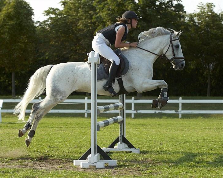 Belgisk Sportspony Decision (Solgt) - Igen i La på Ride Academy 2010, jeg sidder knapt så godt, men den kan løfte fusserne den lille fyr .. Foto: Animal-Print billede 17