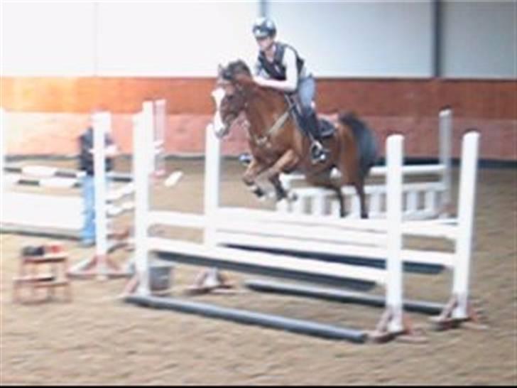 Anden særlig race **Flux<3** solgt:´( - springtræning :)<3 billede 17