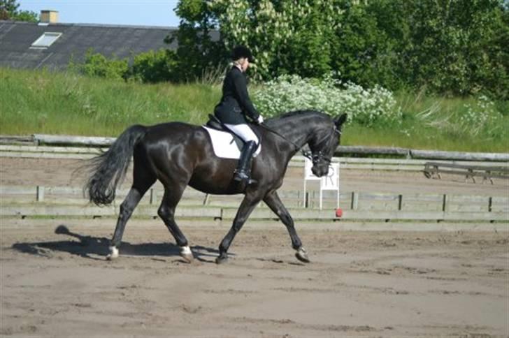 Oldenborg Jazon - Jazon i LC 1 :)<3 billede 1