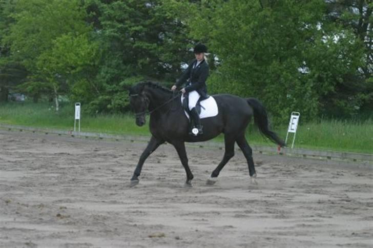 Oldenborg Jazon - I min første LB 1 <3 billede 2