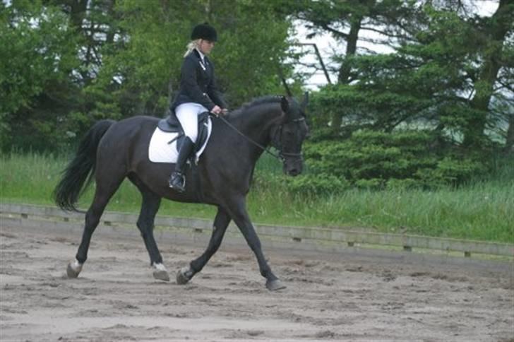 Oldenborg Jazon - LB1 <3 billede 3