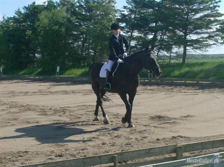 Oldenborg Jazon - Det gik godt <3 billede 4