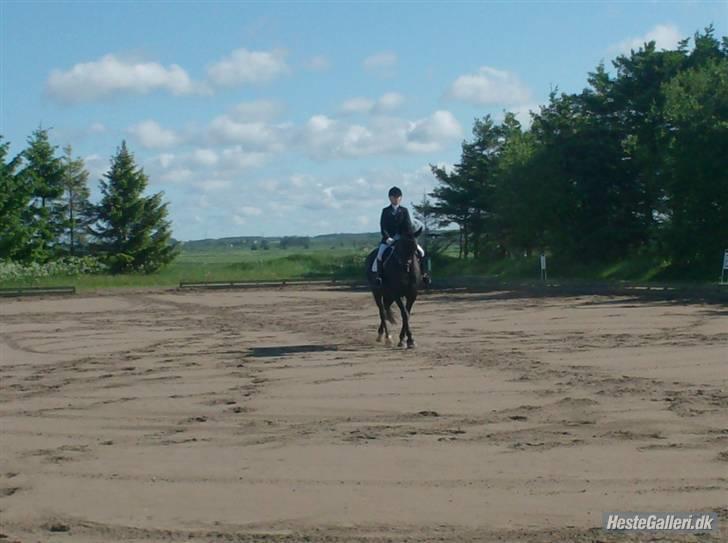 Oldenborg Jazon - I en LC1 billede 5