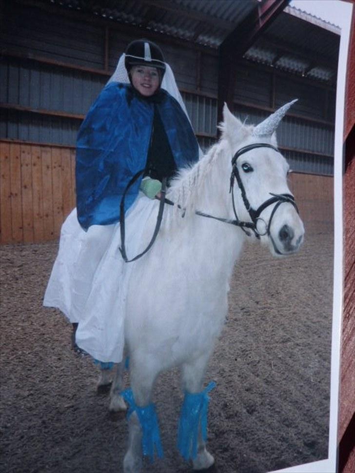 Anden særlig race Miss Grey  - Vi er da flotte? :) billede 16