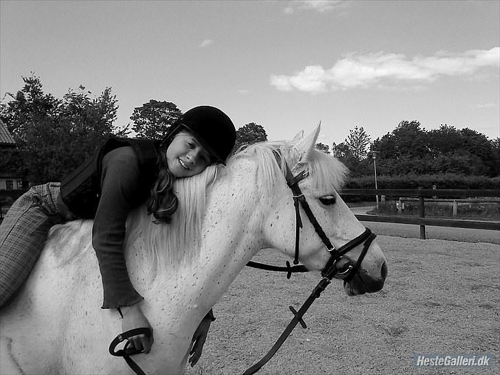Anden særlig race Miss Grey  - Mig og Grey hygger os efter en god ridetænning billede 17