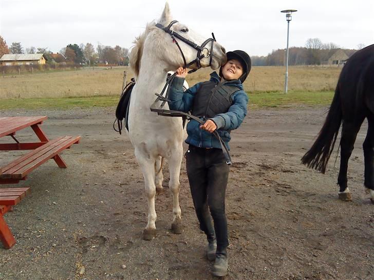 Anden særlig race Miss Grey  - Grey syntes lige jeg skulle have en mysser! billede 18