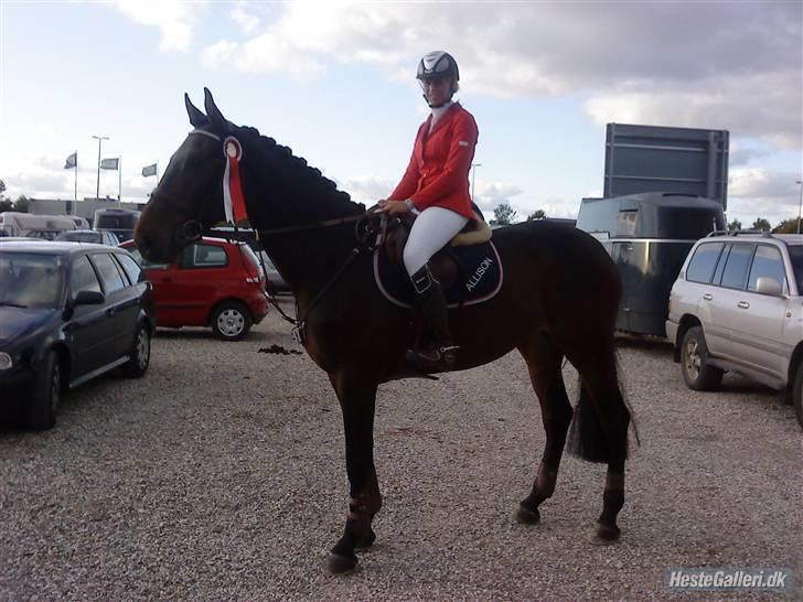 Dansk Varmblod Capri Sun - SOLGT - Capri og mig til JBK Horseshows,her med vores 4. plads,oktober 09 billede 11