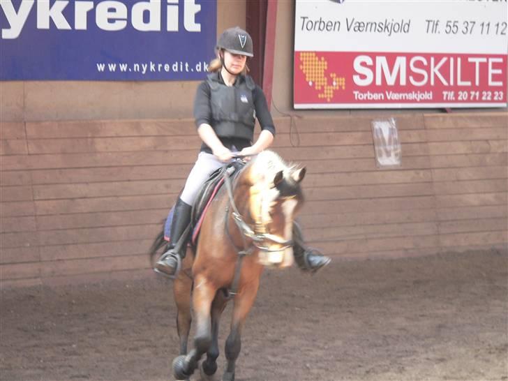 Hollandsk Sportspony Romeo(Solgt) - Mig der rider ham :D billede 19