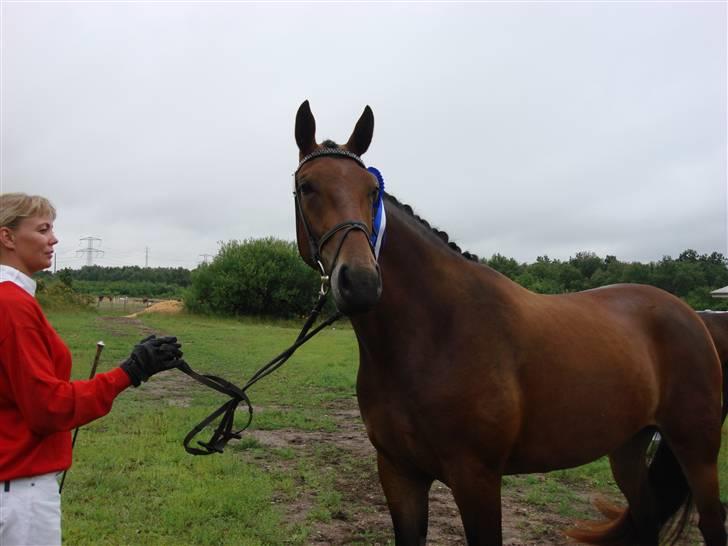 Oldenborg Jackie - Kåring 2009 billede 3