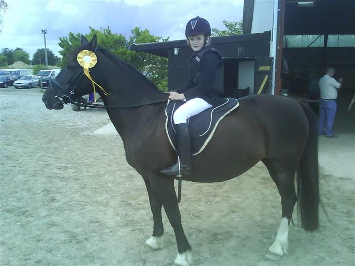 Anden særlig race Leika - Så har Leika og jeg lige fået en roset i spring
- Første springstævne på hende! <3 billede 3