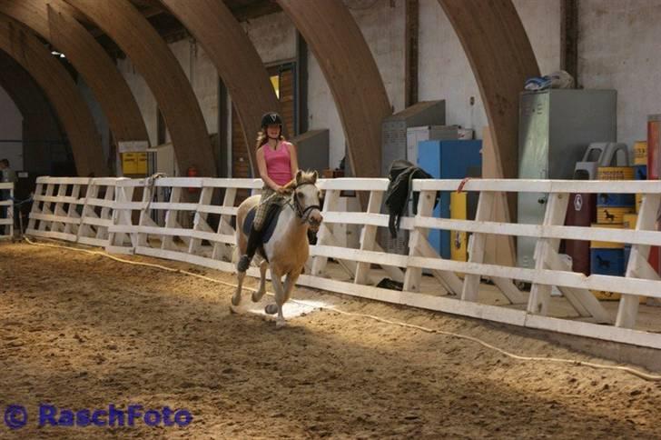 Anden særlig race Icey<33 ( rider ) billede 15