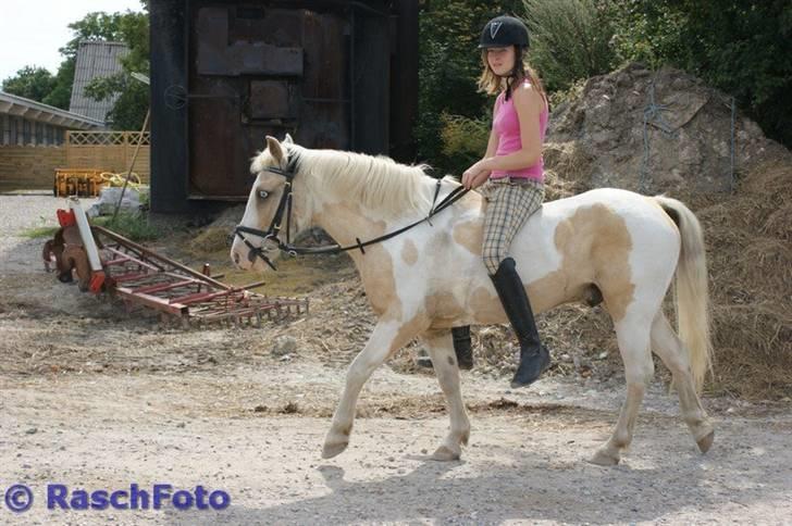 Anden særlig race Icey<33 ( rider ) billede 16