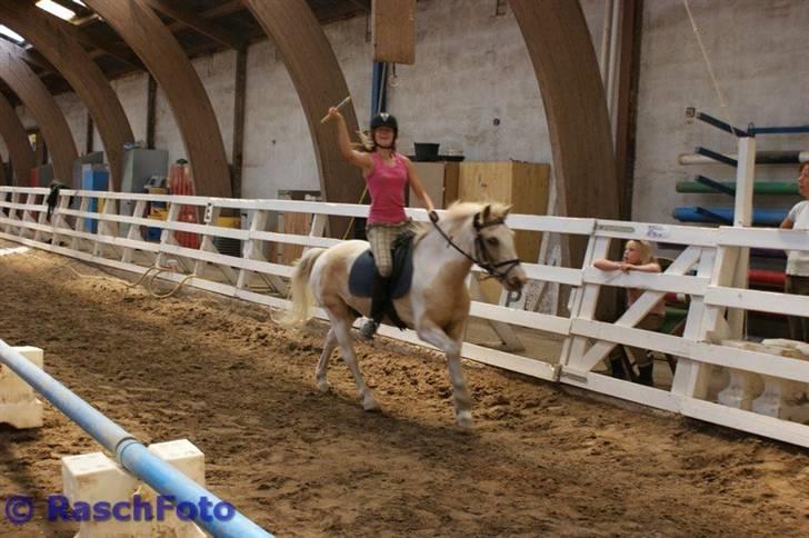 Anden særlig race Icey<33 ( rider ) billede 17