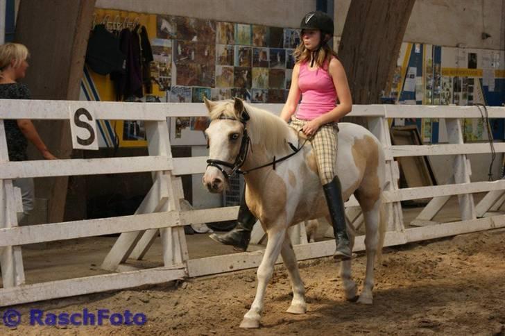 Anden særlig race Icey<33 ( rider ) billede 18