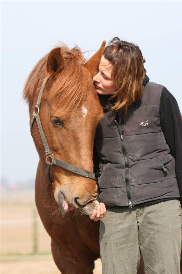 Anden særlig race Mr. Balisto billede 7