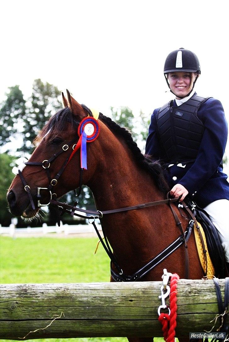 Welsh Cob (sec D) Rambo. - Skat du er så ubeskrivelig dejlig<3 elsker dig hele vejen op til månen og tilbage igen<3 Stævne Spring 19/9-2010t, Foto; Sara og hendes far billede 5