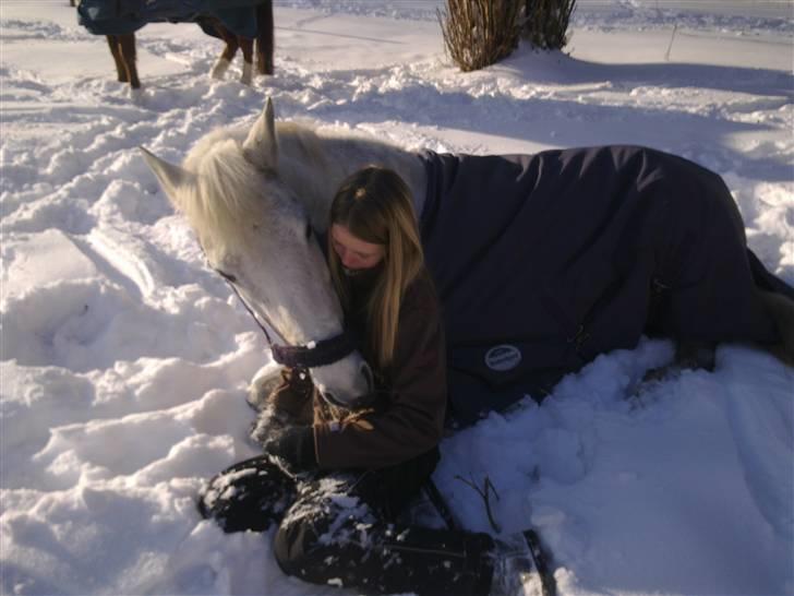 DSP Dü mapromis (solgt) - Dylle og jeg i sne´en ;D billede 1