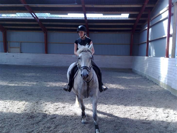 DSP Dü mapromis (solgt) - dejlig dulle (: billede 4