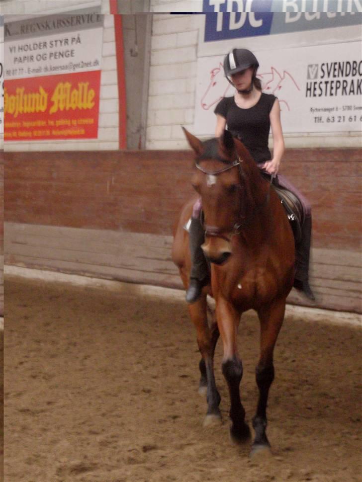 Oldenborg Sultan  - 7/11- 09  billede 10