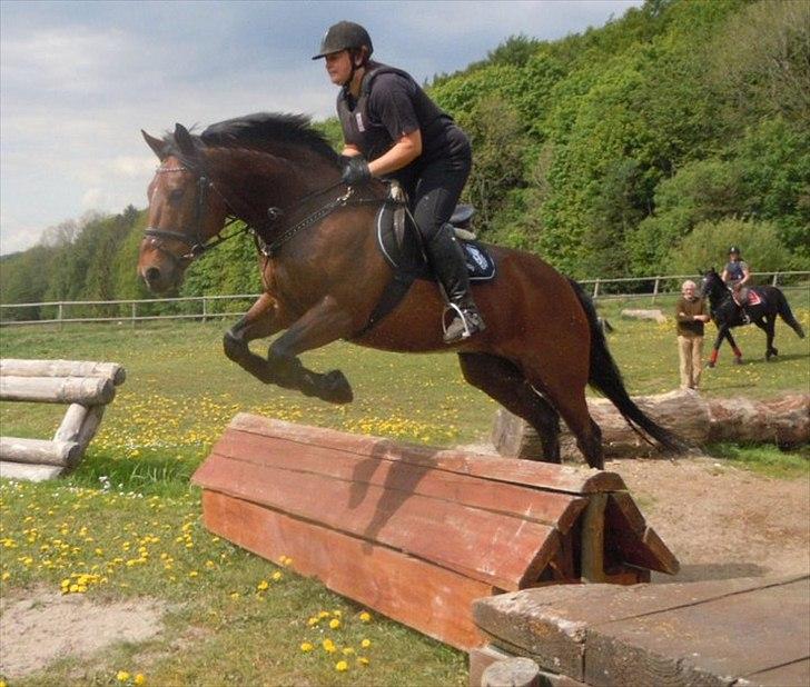 Anden særlig race Mister Gallon  - I terrænet billede 5