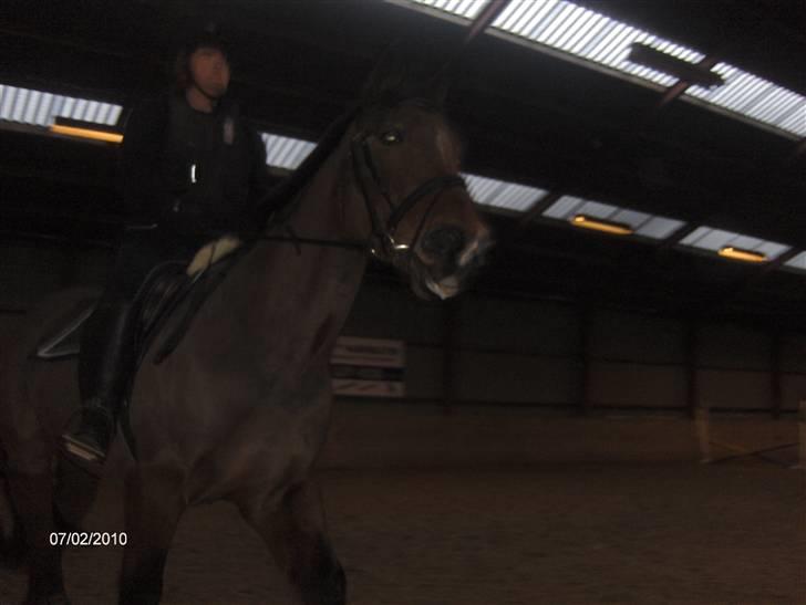 Anden særlig race Mister Gallon  - gallon og mig billede 6