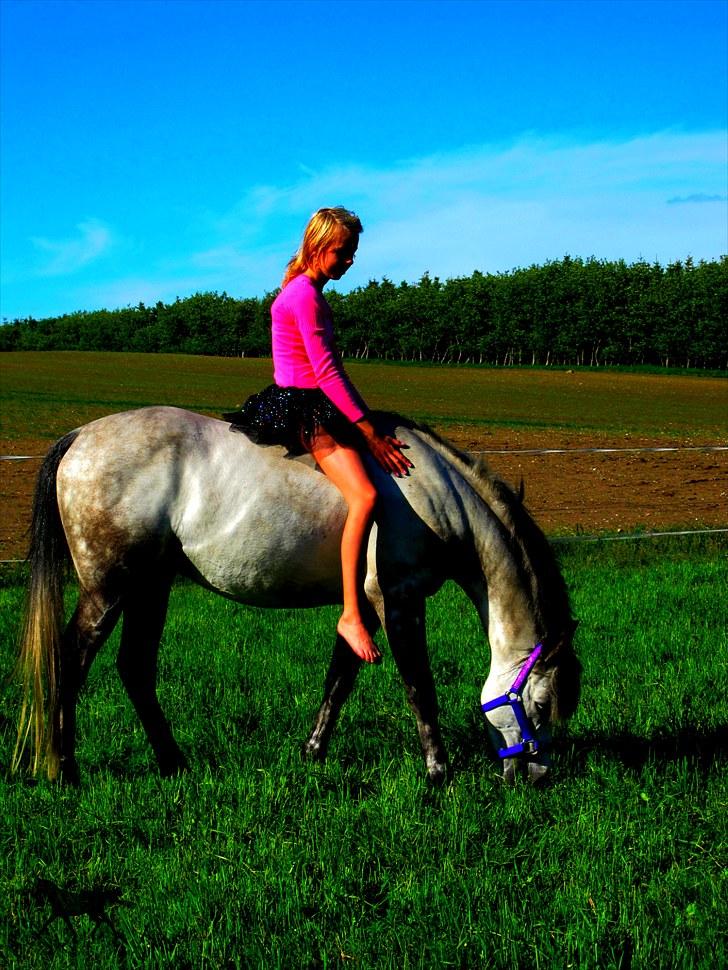 Sportsaraber (A) »|Lysholms Silvado|« 28/7 - 11 15:51    †    R.I.P - - Prinsessen der rider rundt på hendes prins :i Dagen bliver aldrig glemt .. Du er den bedste!!!!!!! altid <3 billede 13