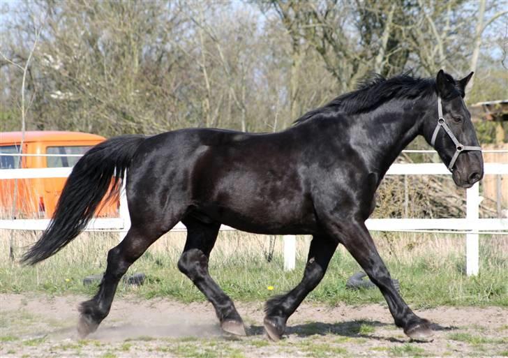 Oldenborg Leif Rudbæk billede 1