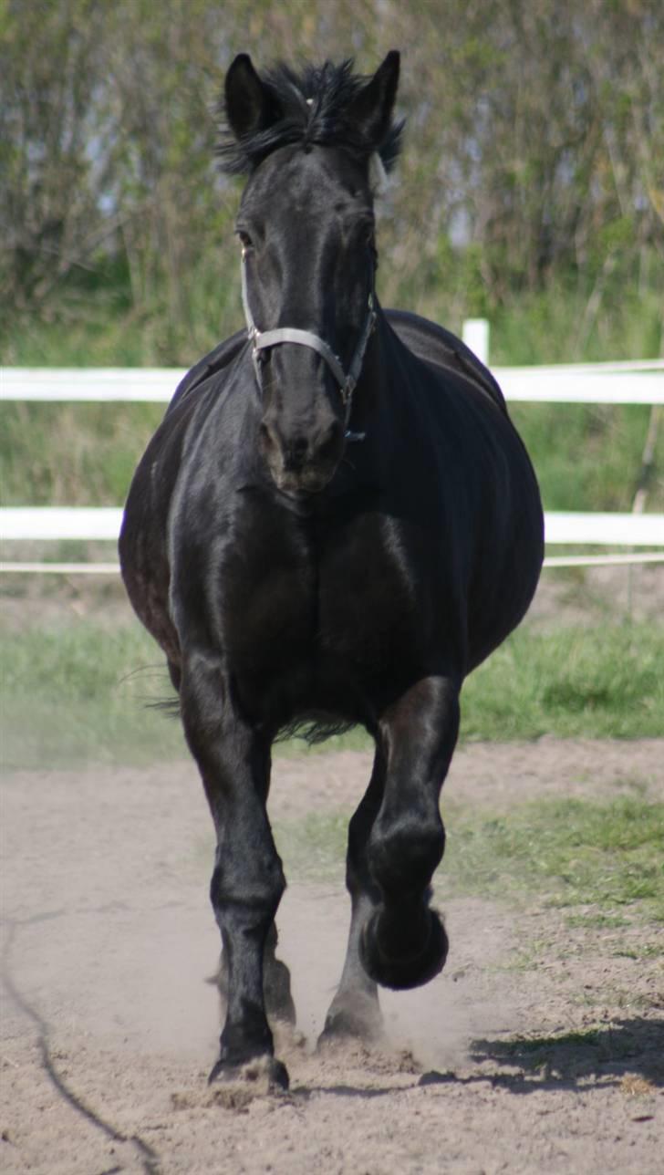 Oldenborg Leif Rudbæk billede 4