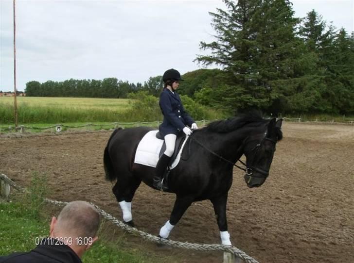 Oldenborg Leif Rudbæk billede 15