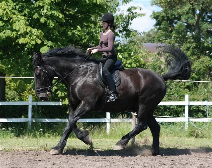 Oldenborg Leif Rudbæk billede 17