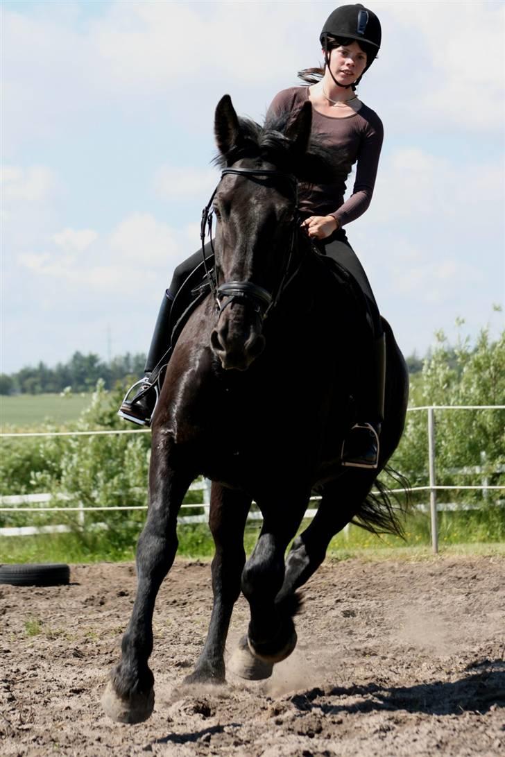 Oldenborg Leif Rudbæk billede 18