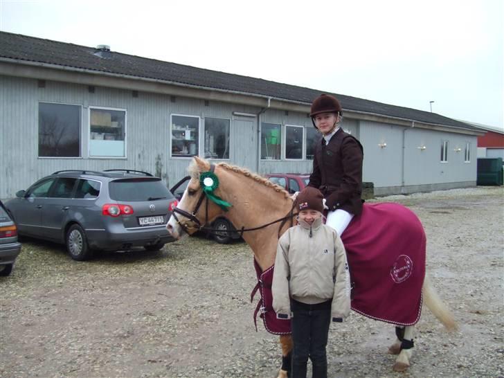 Welsh Pony af Cob-type (sec C) Chicco - Nanna, Chicco & Mig efter Lc :D De fik en 4. plads til deres første stævne :) billede 9