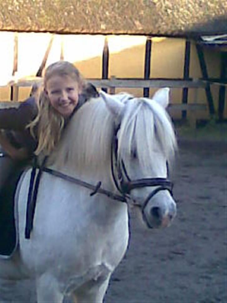 Anden særlig race Mickey<3  billede 2