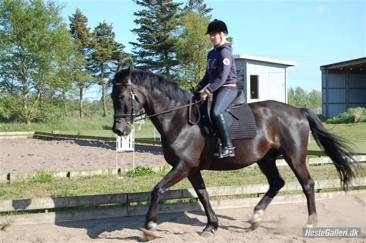 Oldenborg Jazon - min jazon :) <333 billede 12