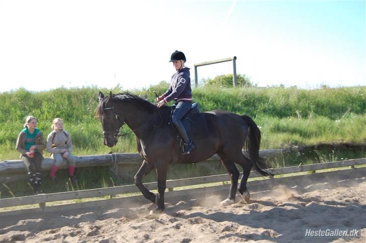 Oldenborg Jazon - En god dage ! <3 billede 13