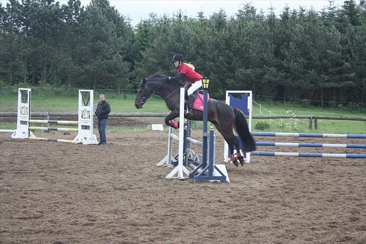 Anden særlig race Thyra - Stævne i kongsvad. 13-06-2010. Foto Sisse billede 15