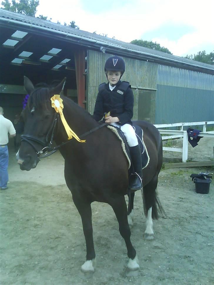 Anden særlig race Leika - To rosetter i spring! <3 Første springstævne på hende! <3 :* billede 4