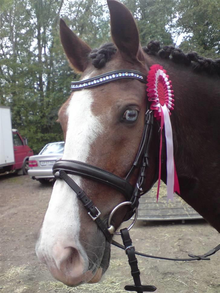 DSP simba<3 (bassemand) billede 2