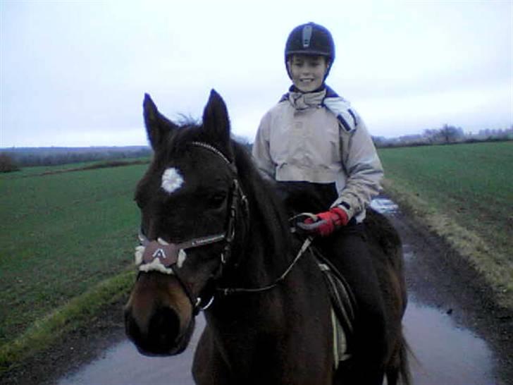 Connemara Chianti *Død* R.I.P billede 18