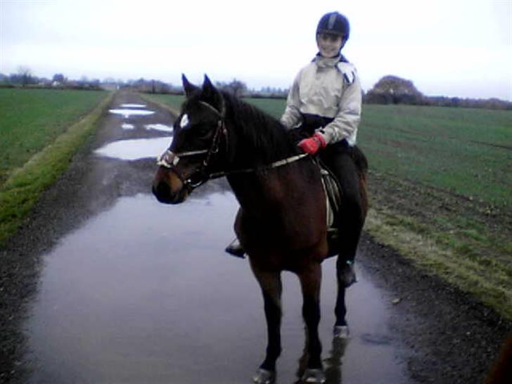 Connemara Chianti *Død* R.I.P billede 19